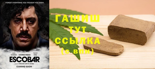 PSILOCYBIN Алзамай