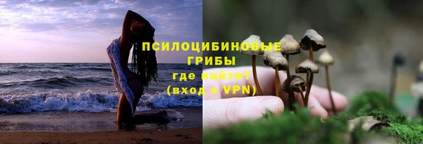 спайс Алексин