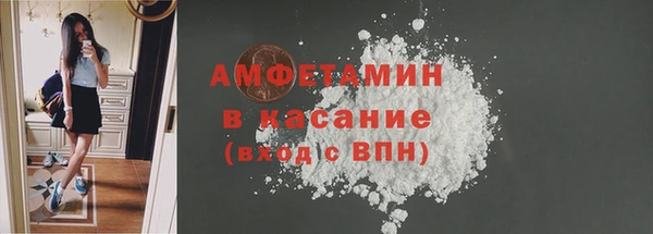 PSILOCYBIN Алзамай