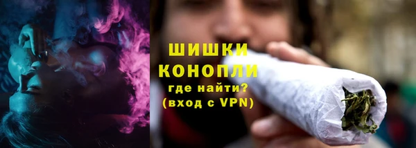 PSILOCYBIN Алзамай