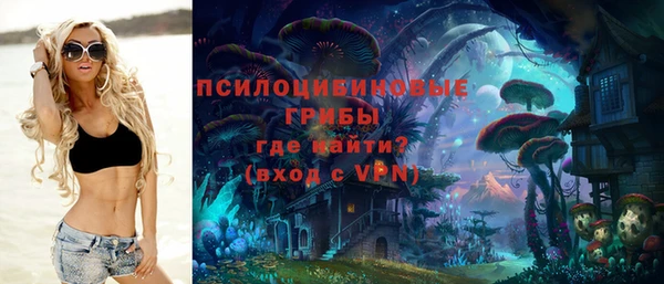 метамфетамин Алексеевка